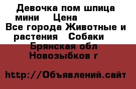 Девочка пом шпица мини  › Цена ­ 30 000 - Все города Животные и растения » Собаки   . Брянская обл.,Новозыбков г.